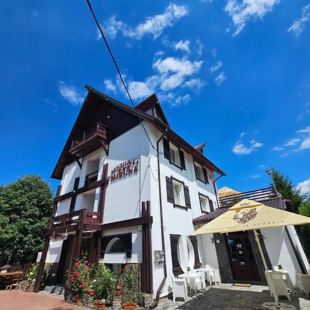 Pensiunea Miruna Hotel Moieciu de Jos Exterior foto