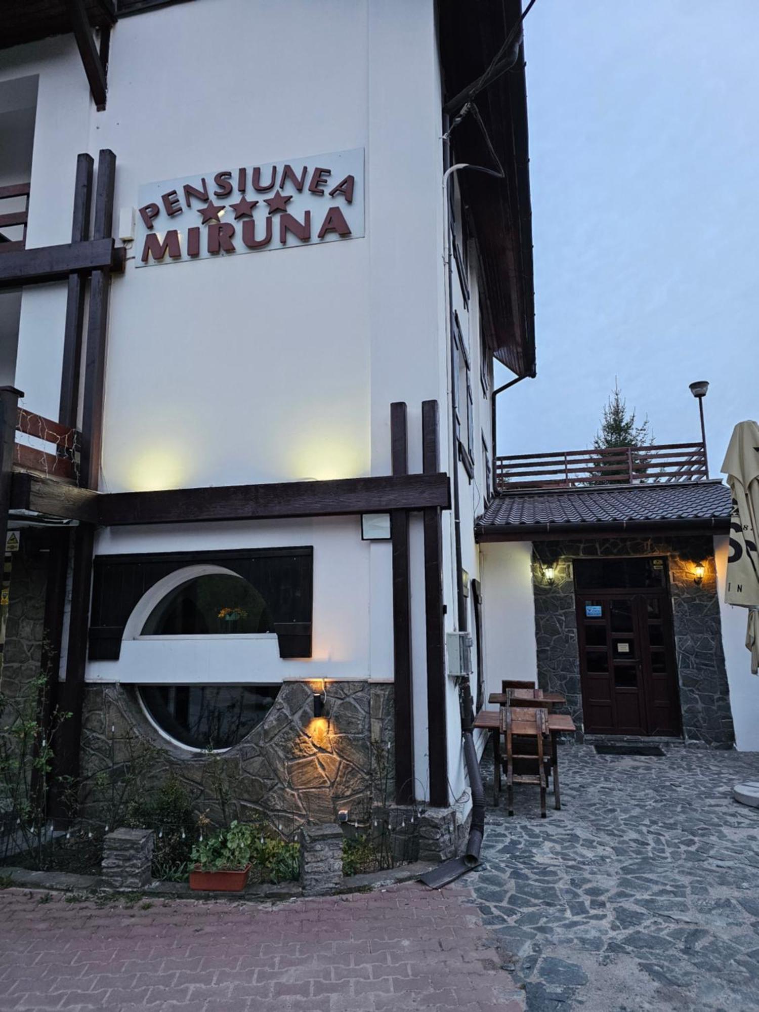 Pensiunea Miruna Hotel Moieciu de Jos Exterior foto