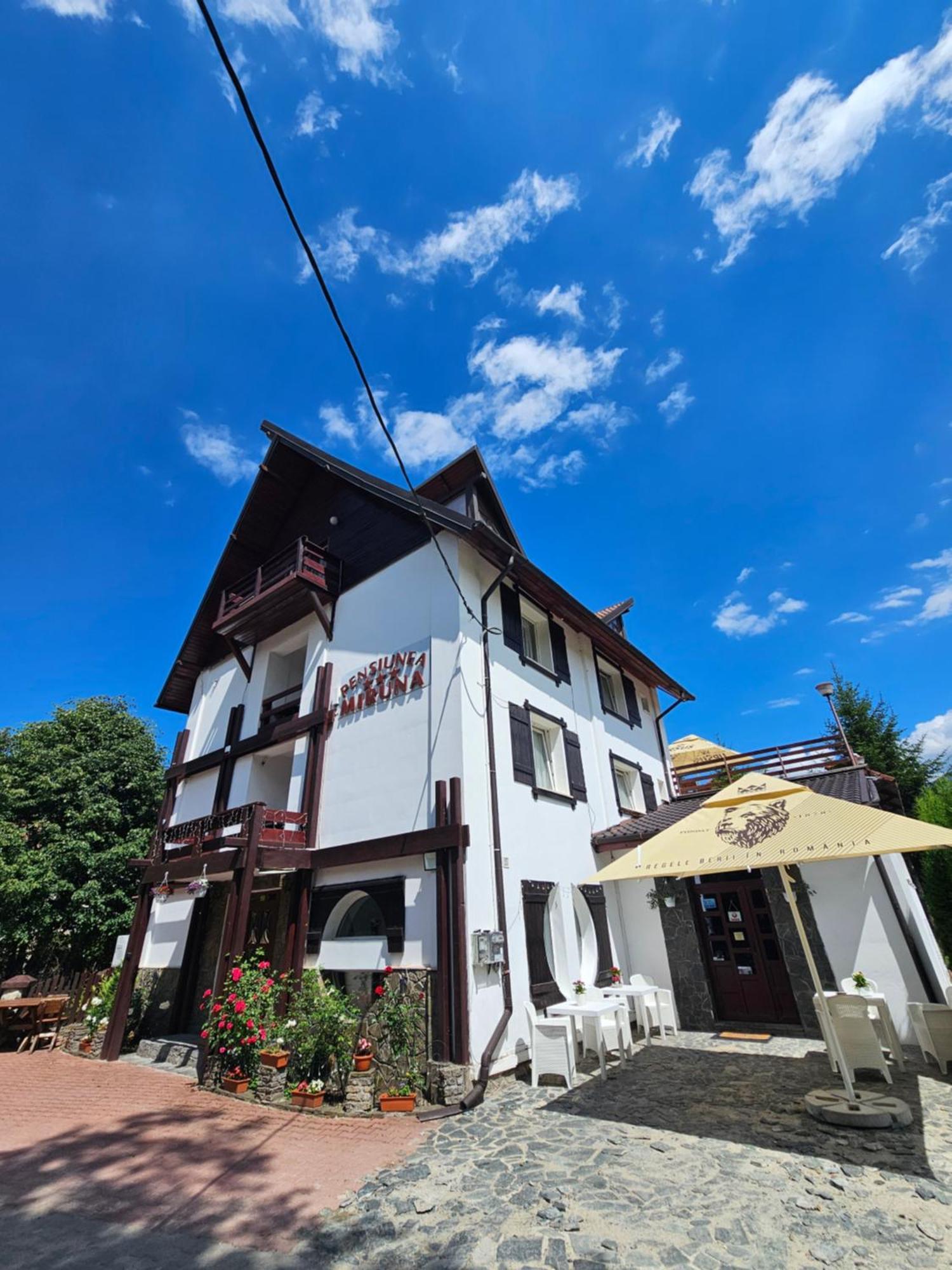 Pensiunea Miruna Hotel Moieciu de Jos Exterior foto