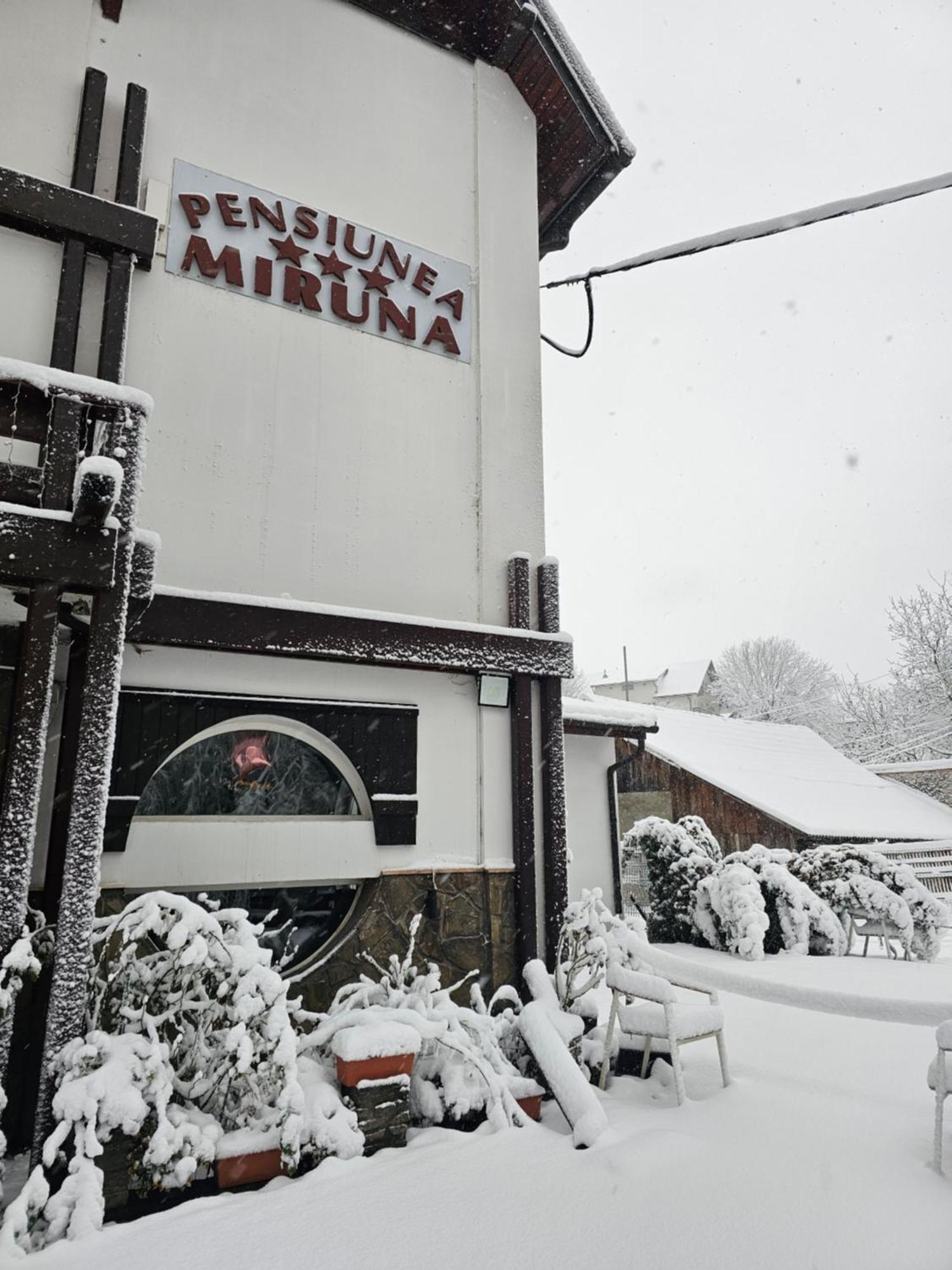 Pensiunea Miruna Moieciu de Jos Exterior foto